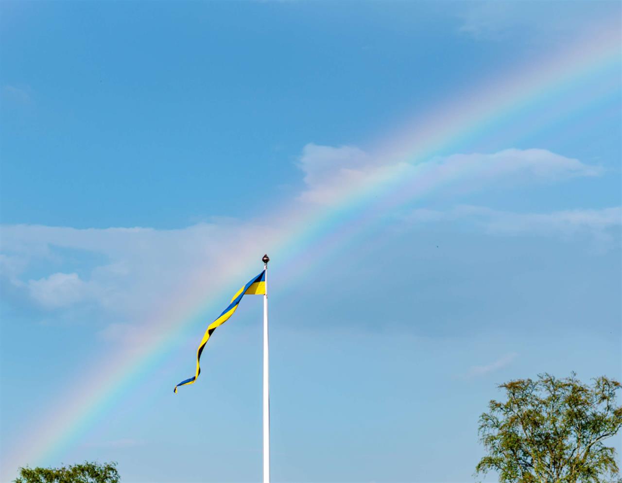 Vimplar – Från Tradition till Trend